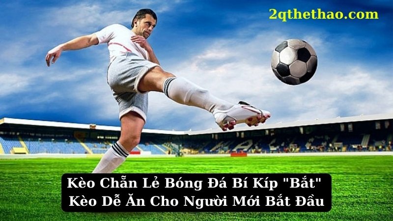 Kèo Chẵn Lẻ Bóng Đá Bí Kíp "Bắt" Kèo Dễ Ăn Cho Người Mới Bắt Đầu