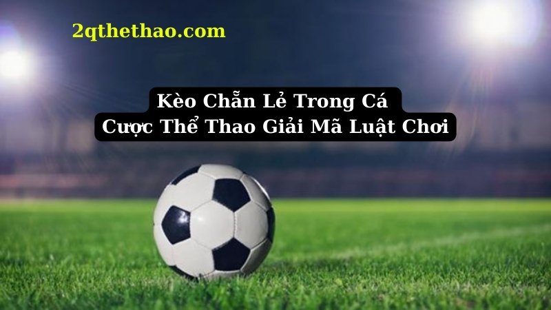 Kèo Chẵn Lẻ Trong Cá Cược Thể Thao Giải Mã Luật Chơi