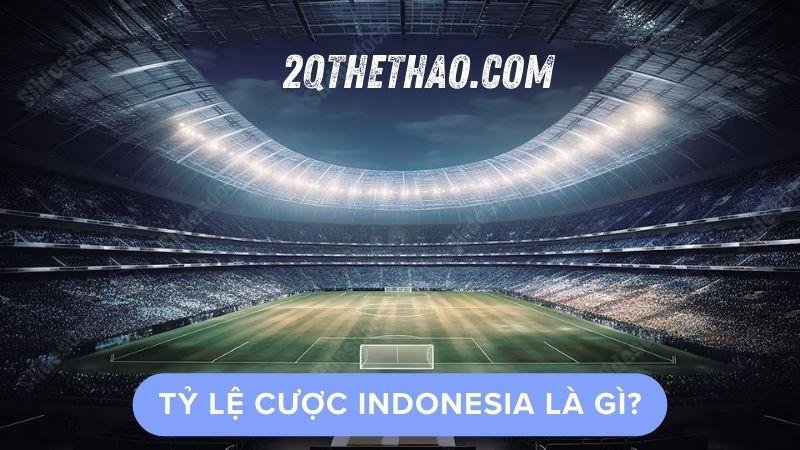 ty-le-cuoc-indonesia-la-gi-2