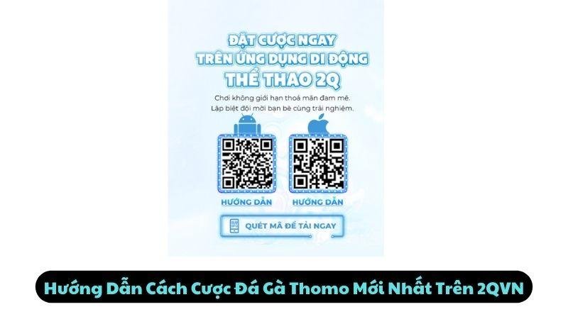 Hướng Dẫn Cách Cược Đá Gà Thomo Mới Nhất Trên 2QVN