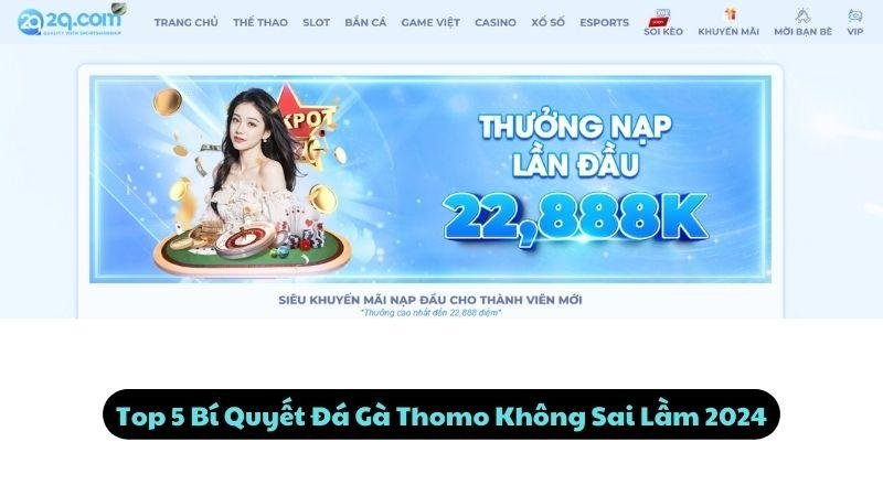 Top 5 Bí Quyết Đá Gà Thomo Không Sai Lầm 2024