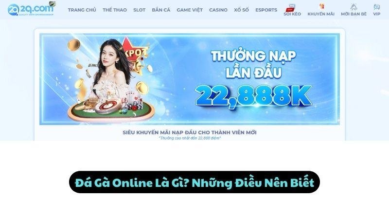 Đá Gà Online Là Gì? Những Điều Nên Biết