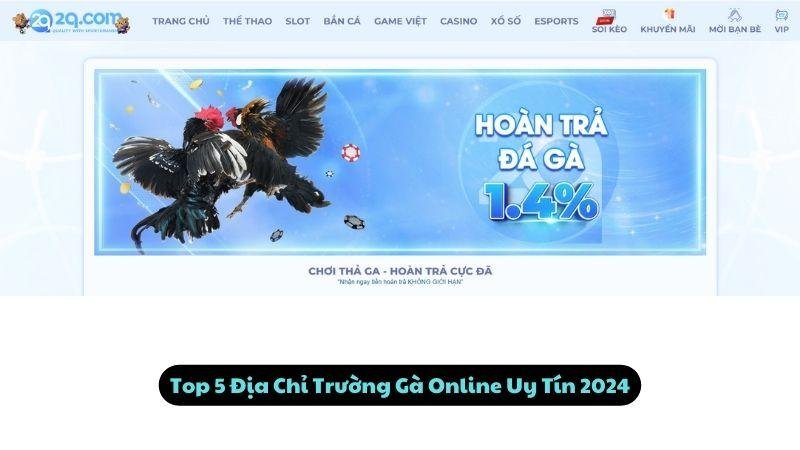 Top 5 Địa Chỉ Trường Gà Online Uy Tín 2024