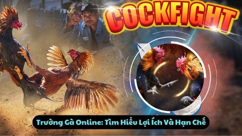 Trường Gà Online: Tìm Hiểu Lợi Ích Và Hạn Chế