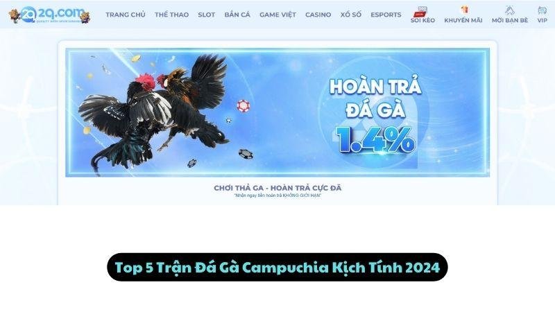 Top 5 Trận Đá Gà Campuchia Kịch Tính 2024