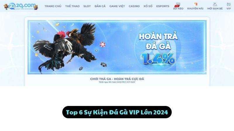 Top 6 Sự Kiện Đá Gà VIP Lớn 2024