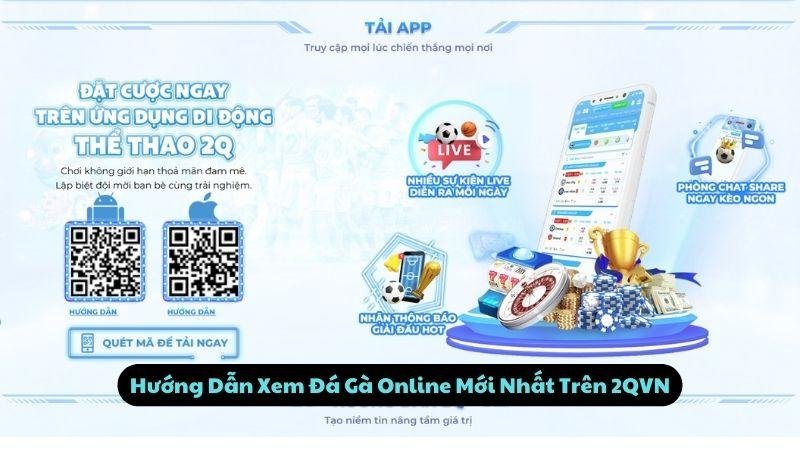 Hướng Dẫn Xem Đá Gà Online Mới Nhất Trên 2QVN