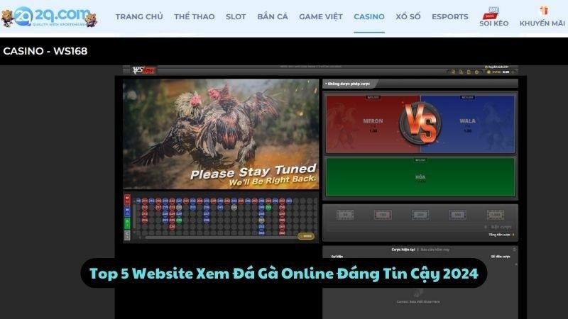 Top 5 Website Xem Đá Gà Online Đáng Tin Cậy 2024