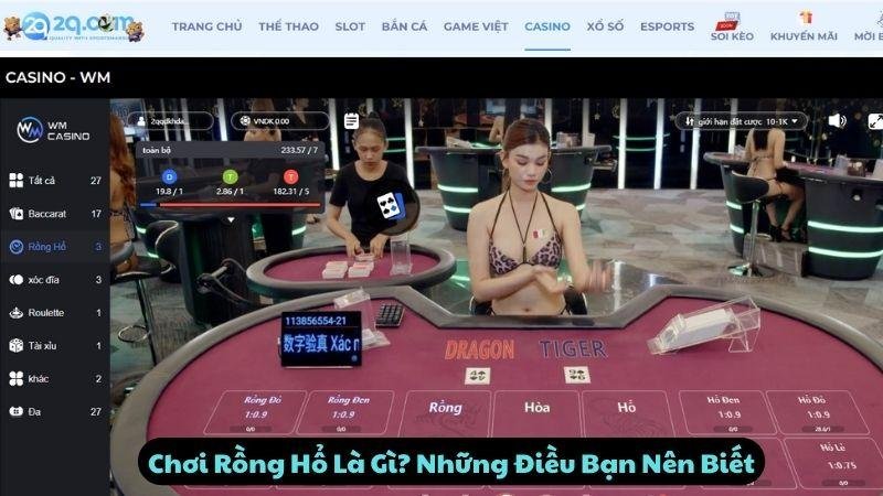 Chơi Rồng Hổ Là Gì? Những Điều Bạn Nên Biết